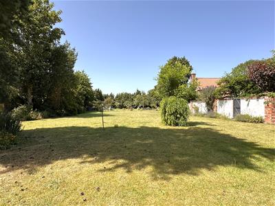 Picture 28
